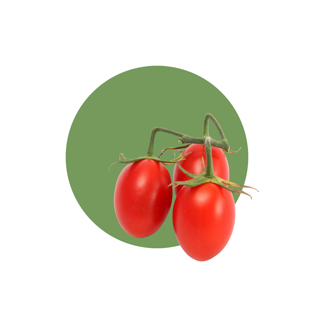 POMODORO PICCADILLY