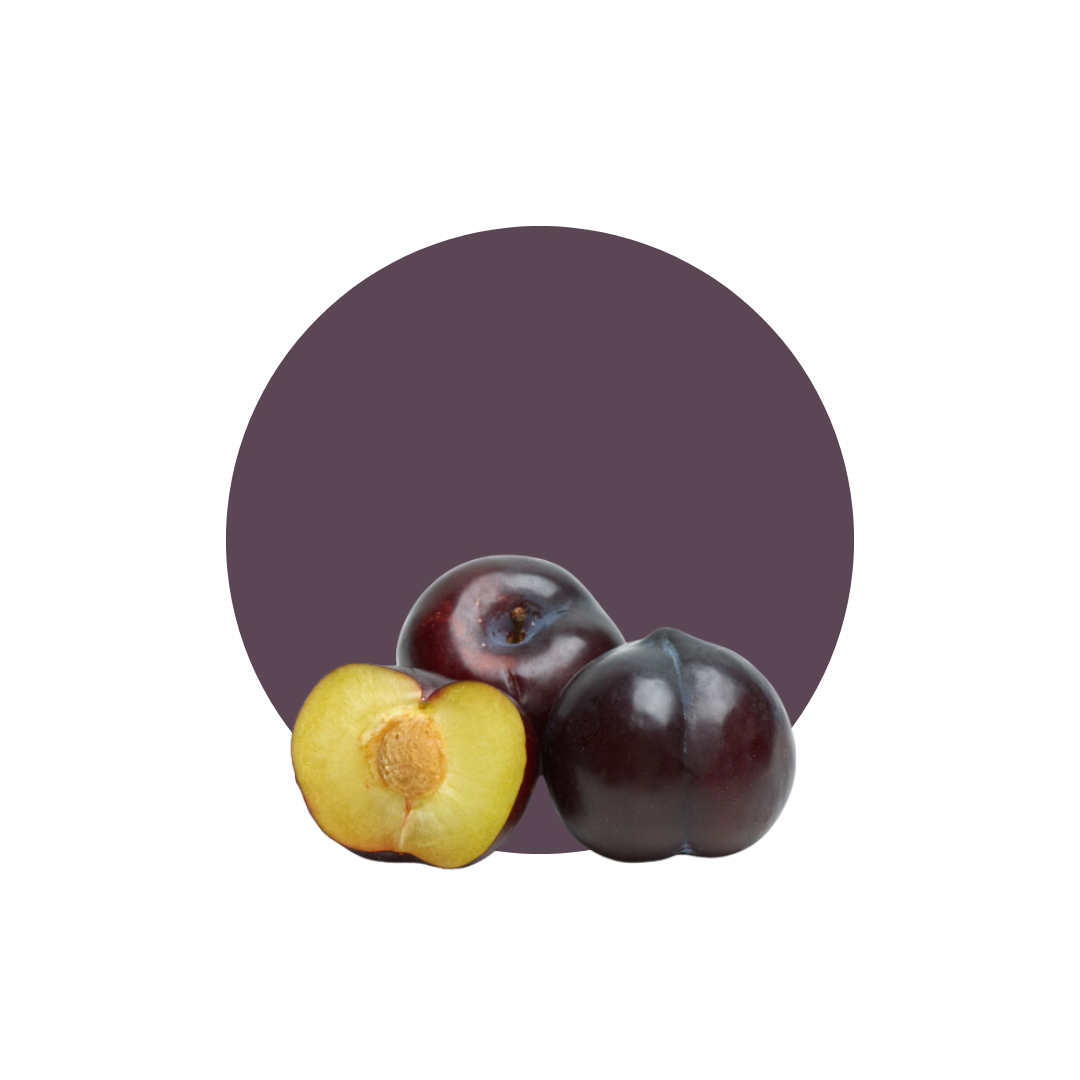 SUSINE BLACK