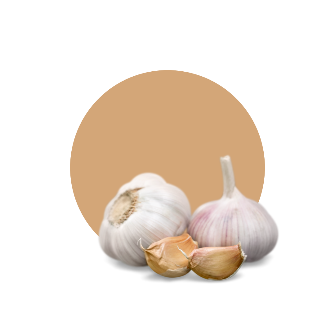 AGLIO - DECASADA