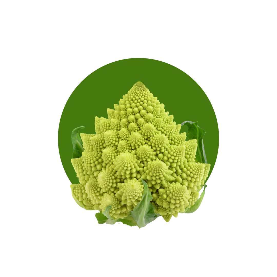 CAVOLO ROMENESCO - DECASADA