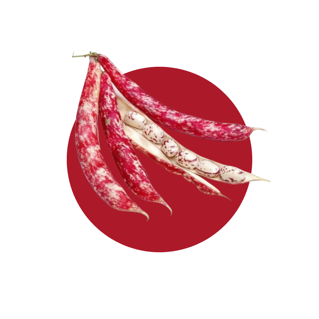 FAGIOLI BORLOTTI FRESCHI - DECASADA