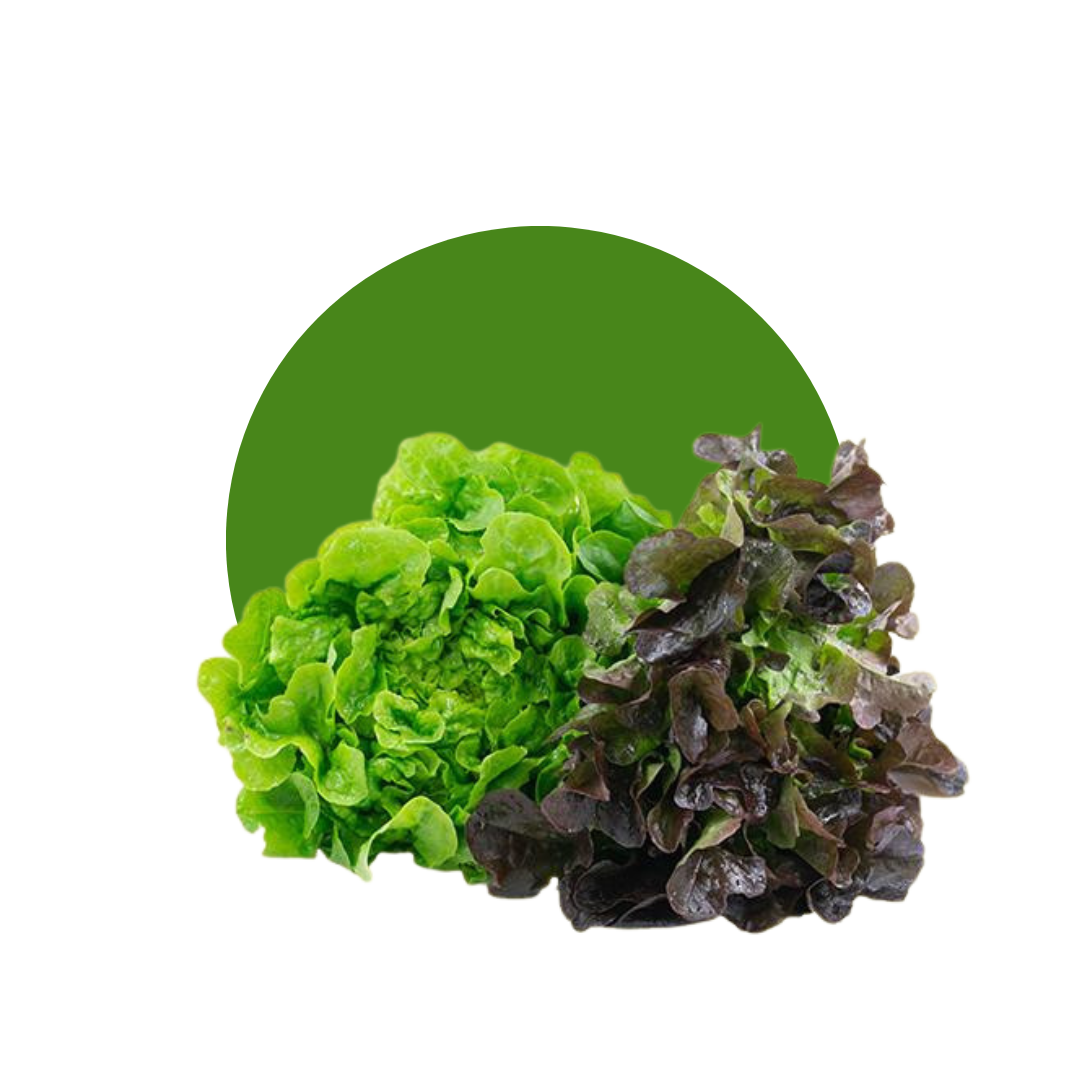 INSALATA QUERCIA - DECASADA