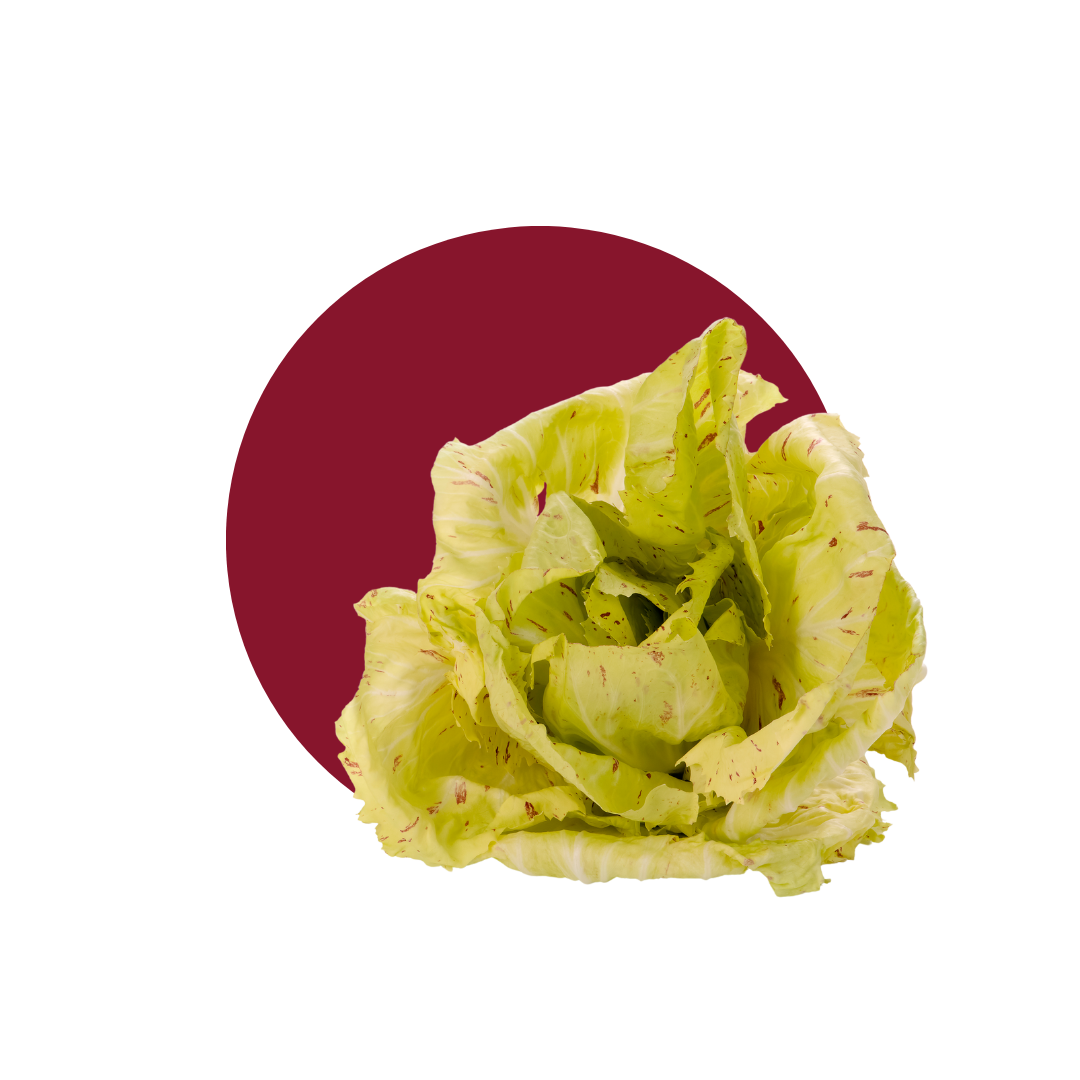 RADICCHIO VARIEGATO - DECASADA
