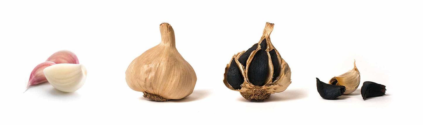 AGLIO NERO - DECASADA