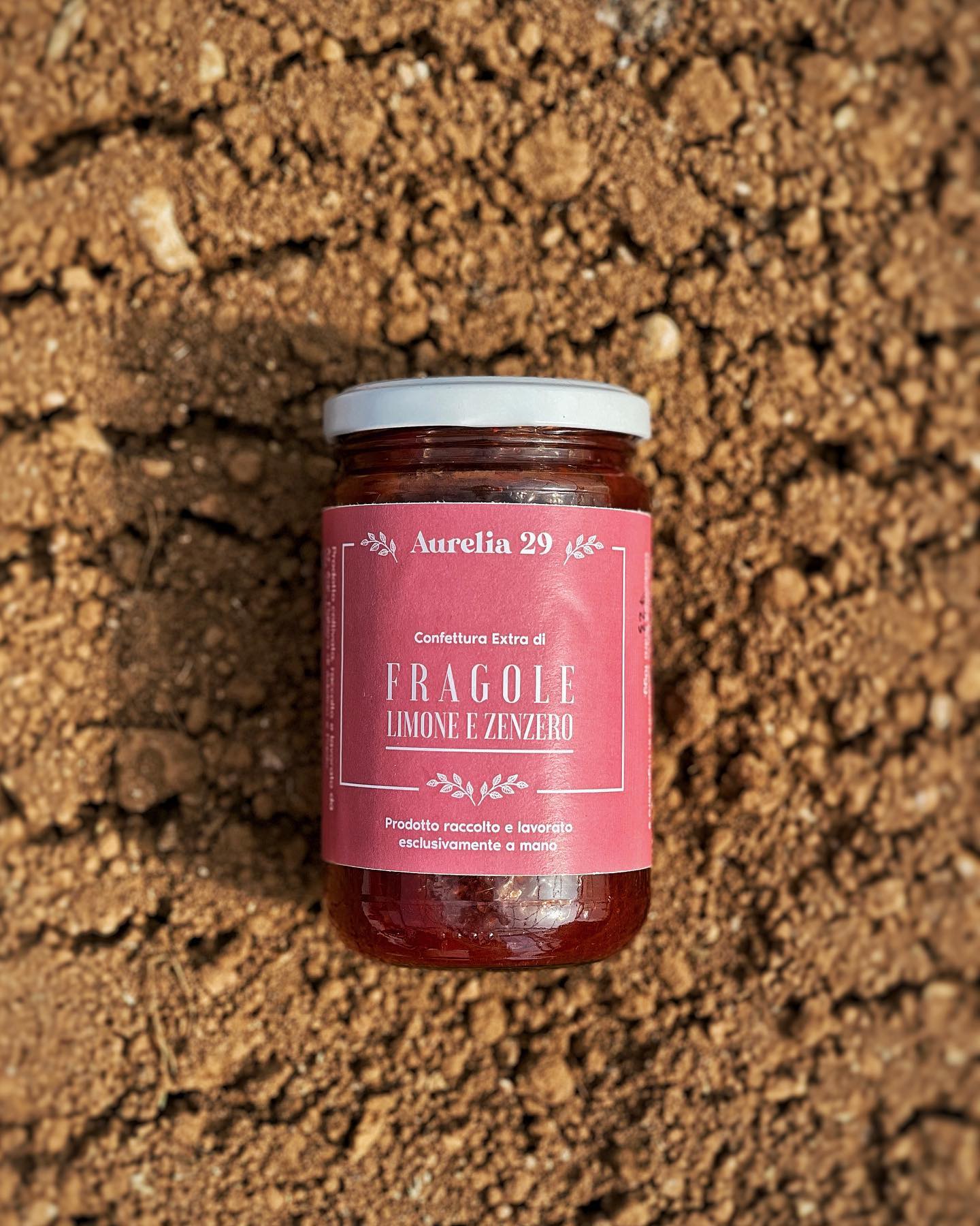 confettura extra FRAGOLA LIMONE E ZENZERO - DECASADA